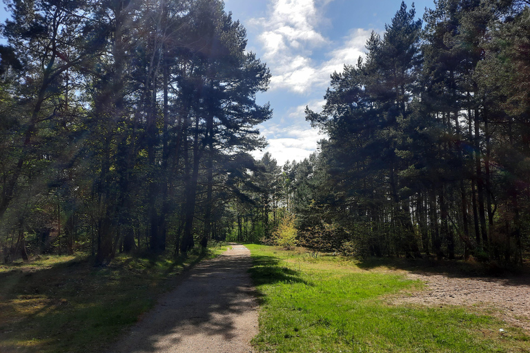 Explorez l&#039;île de Sobieszewo : Visite à pied de la nature et de la faune