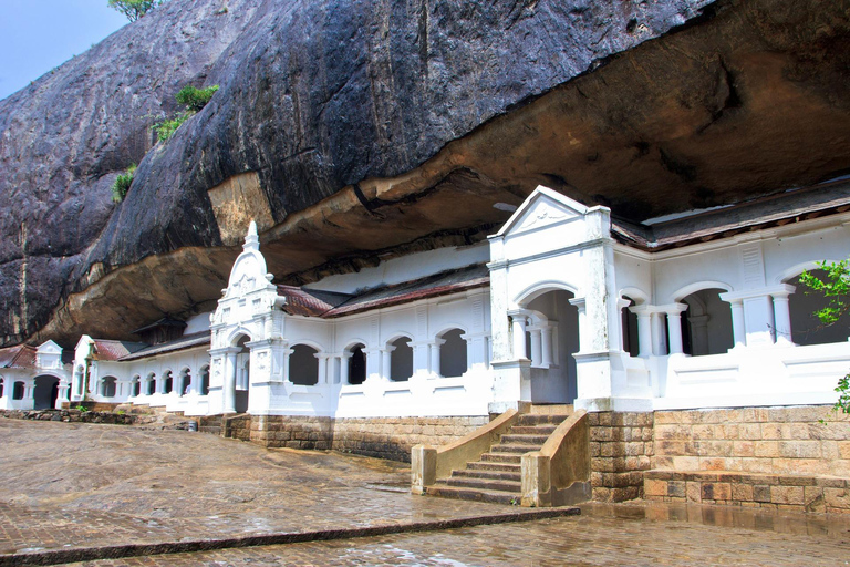 Habarana: Polonnaruwa, Sigiriya en dambulla dagexcursie