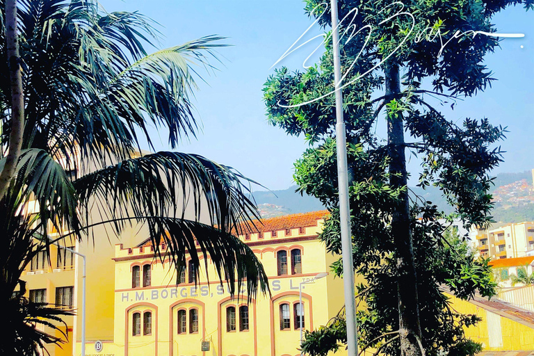 Funchal : Visite guidée du vignoble H.M. Borges avec dégustation de vinDiamant - 6 dégustations