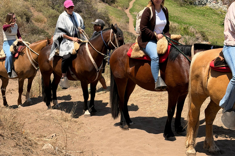 From Santiago: Papudo Lobos Island Boat & Horseback Ride