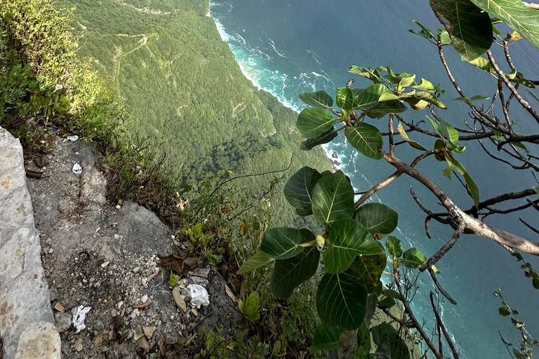 Turnê pelas praias do oeste: FAZAYAH