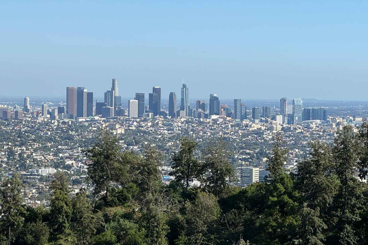 Los Angeles: 4.5-Hour Tour by SUV: Hollywood/Beverly Hills/Griffith Observatory - 4.5-hour tour in an SUV St. Monica, Venice + Beverly Hills or Hollywood