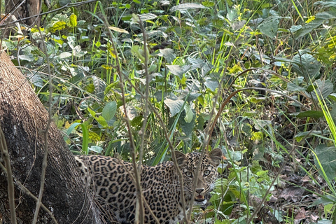 Chitwan: CANOEING & BIRDWATCHING & JEEP SAFARI