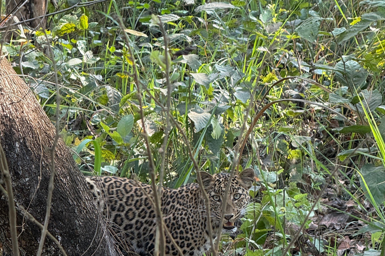 Chitwan: CANOEING & BIRDWATCHING & JEEP SAFARI