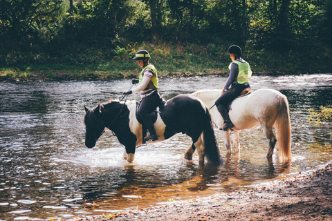 From Chicago: 1-Hour Nature Horseback Ride
