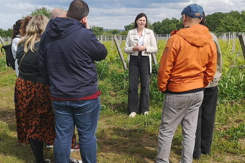 Le vignoble bordelais hors des sentiers battus : 2 domaines et dégustations