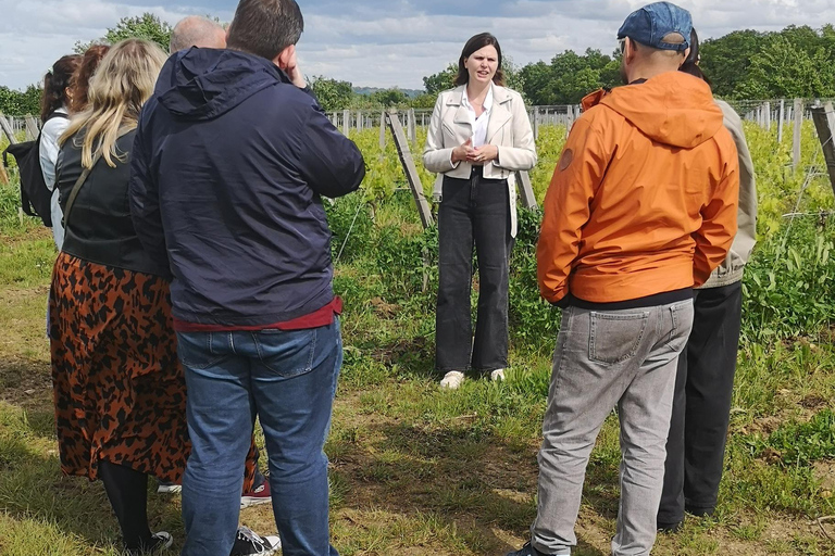 Bordeaux vineyard off the beaten path: 2 wineries &amp; tastings