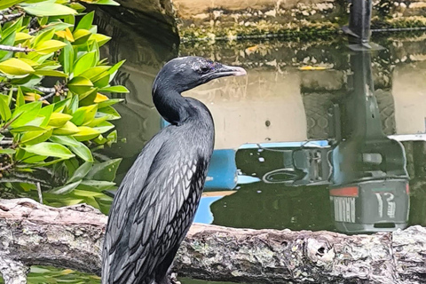 Excursão de um dia a Galle e Bentota a partir de Colombo