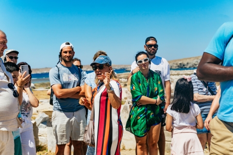 Vanuit Mykonos: rondleiding door Delos, met tickets met voorrangstoegangTour in het Frans