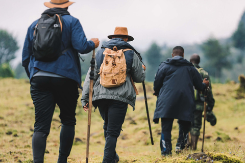 Volcanoes National Park: Dian Fossey Tomb Hike from Kigali