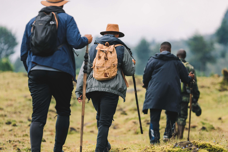 Volcanoes National Park: Dian Fossey Tomb Hike from Kigali