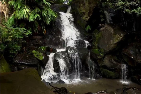 Nairobi: Urban Safari with Lunch and Rooftop Sundowner