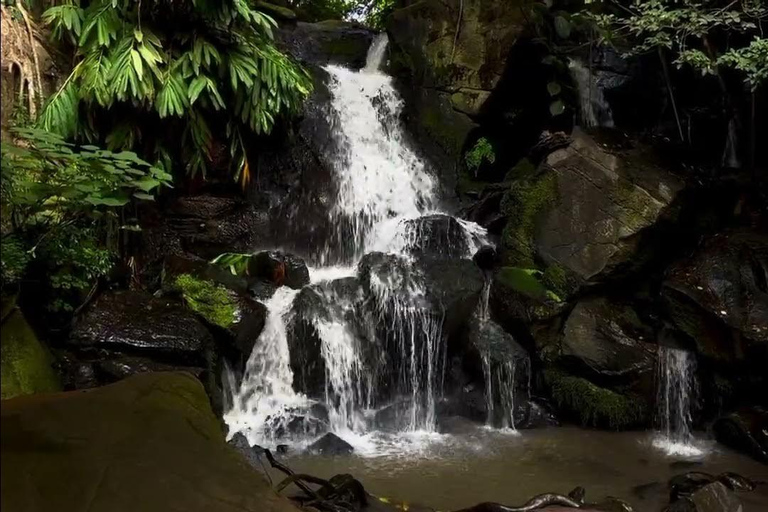 Nairobi: Urban Safari with Lunch and Rooftop Sundowner