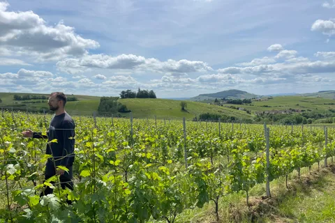 Private Beaujolais Wine Tour