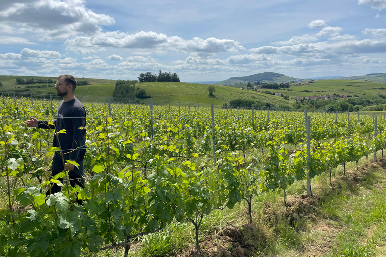 Private Rhône-Tal Wein Tour