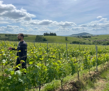 Private Beaujolais Wine Tour