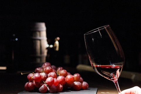 Ancient Olympia: Agrotourism tour, honey, wine, and oil tasting.