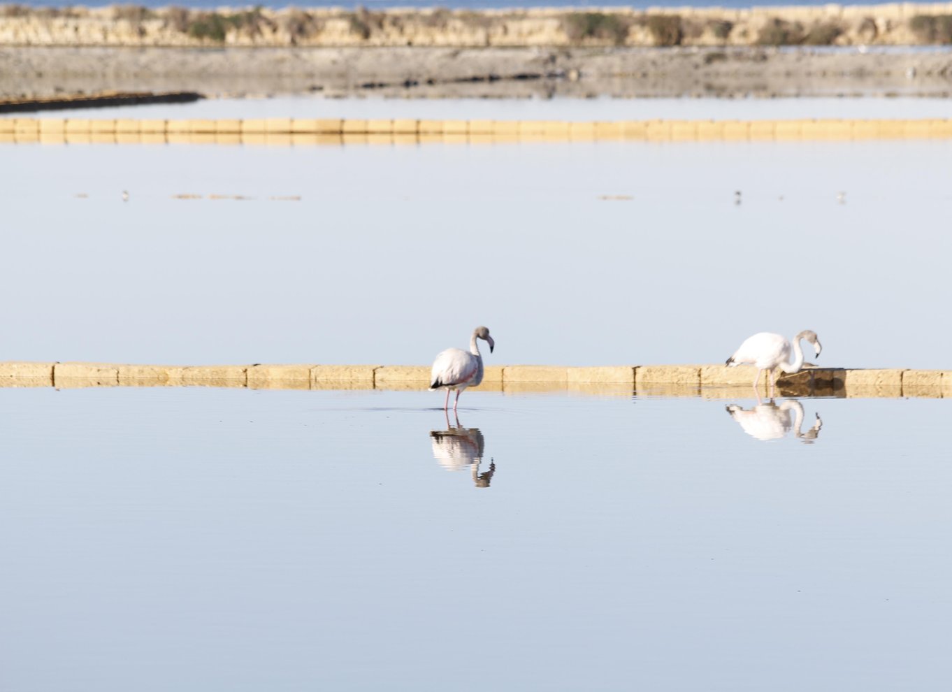Saline di Trapani: 2 timer og 30 minutters salttur