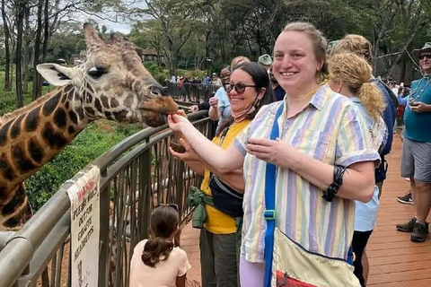 Nairobi: Elephant Orphanage & Giraffe Centre Tour Elephant Orphanage & Giraffe Centre Tour With Entry Fee