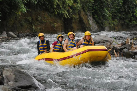 Bali: Telaga Waja River Rafting Small-Group Tour with LunchStandard: Rafting Tour with Lunch &amp; Shared Transfer