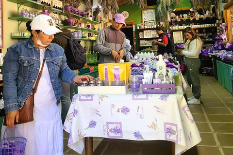 From Puebla: CHAUTLA & VAL'QUIRICO PRIVATE TOUR