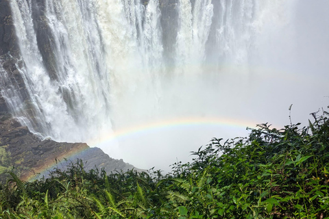 Explore Victoria Falls & Mosi‑oa‑Tunya Exclusive Guided Tour
