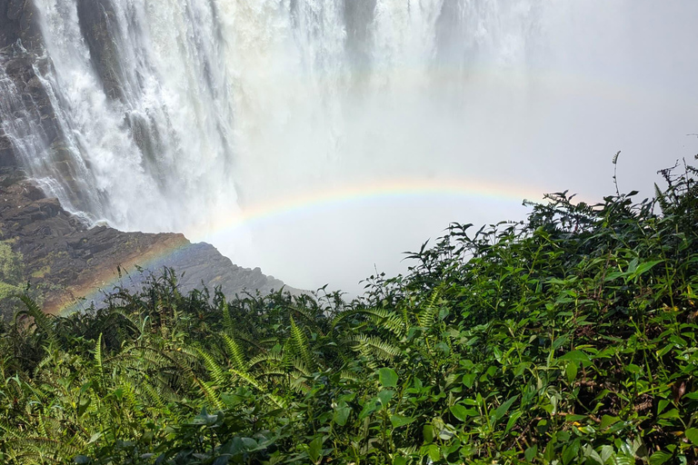 Explore Victoria Falls & Mosi‑oa‑Tunya Exclusive Guided Tour