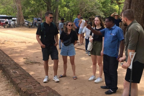 Visita panorámica de Polonnaruwa y safari de medio día por Minneriya
