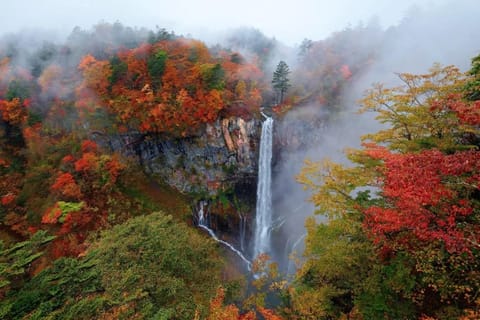 From Tokyo: Nikko World Heritage Sight Full Day Private Tour
