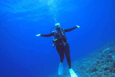 Aqaba: Scuba Diving Experience with Transfers