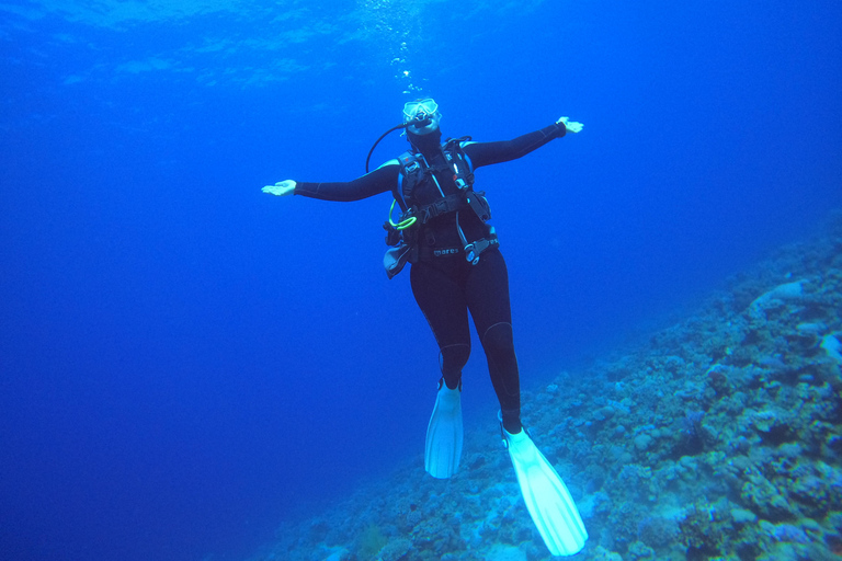 Aqaba: Scuba Diving Experience with Transfers
