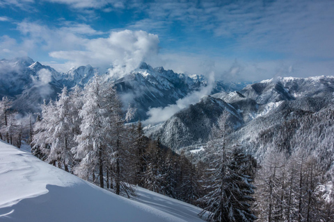 From Ljubljana/Bled: Beginner Snowshoe in Julian Alps From Bled - pickup at your accommodation
