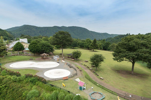 From Tokyo: Aikawa Park & Enoshima Private Family Day Trip From Tokyo: Private Family Trip to Aikawa Park & Enoshima