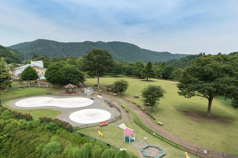 From Tokyo: Aikawa Park & Enoshima Private Family Day Trip From Tokyo: Private Family Trip to Aikawa Park & Enoshima