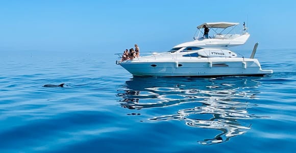 Puerto Banús: Private Yacht Cruise with Dolphin Watching