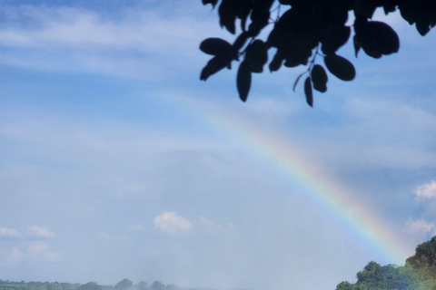 Victoria Falls Guided Walking Tour: Zimbabwe & Zambia