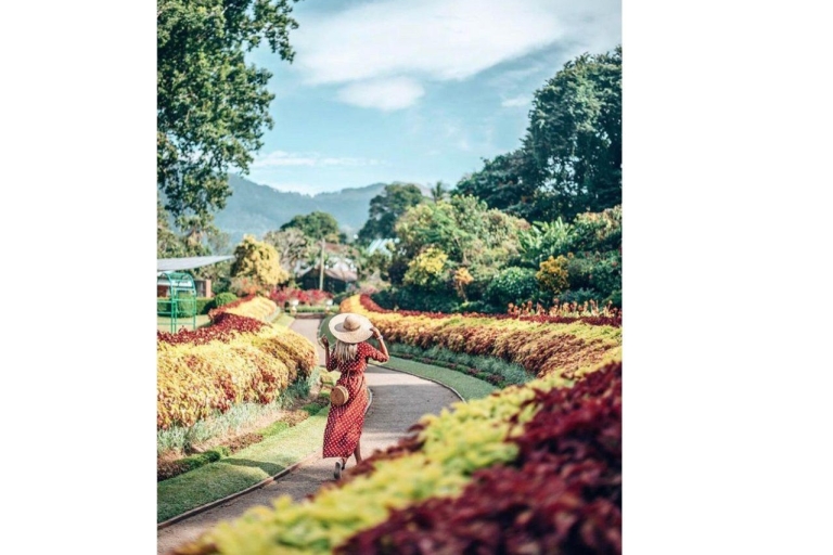 Excursie naar de stad Kandy Tuk Tuk: Ontdek culturele wonderen en