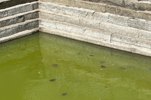 班加罗尔：贝鲁尔/什拉万贝戈拉/咖啡种植园一日游班加罗尔：贝鲁尔/沙瓦纳贝戈拉/咖啡种植园一日游