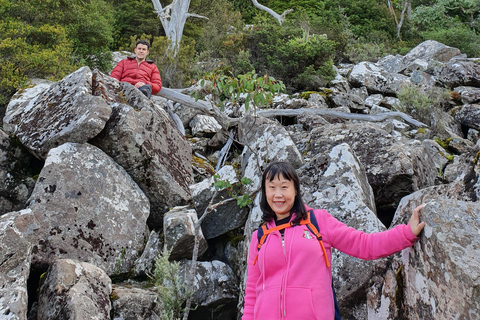 Von Hobart aus: Mt. Wellington Rundgang am Morgen