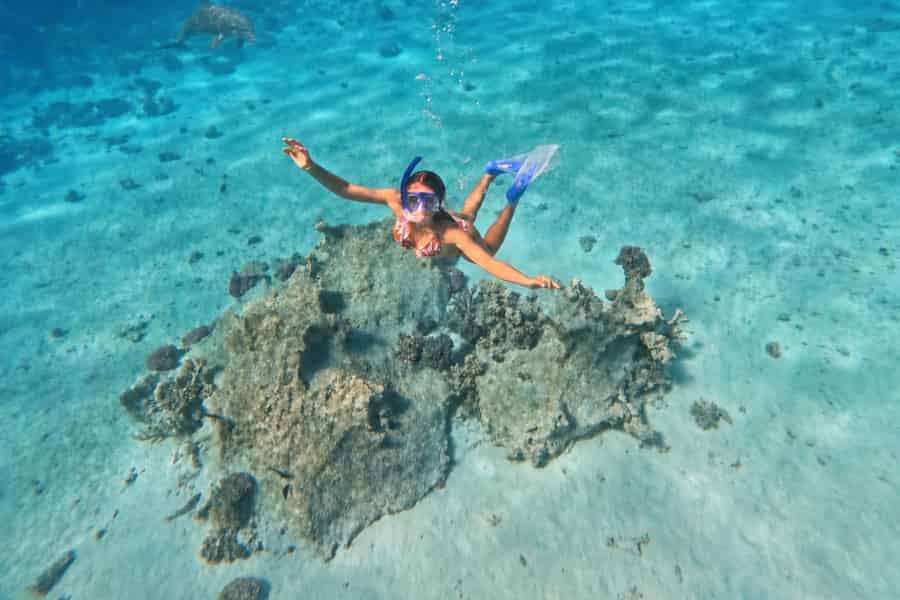 Hurghada: Dolphin House, Schnorcheln & Schwimmen, Verpflegung & Transfer. Foto: GetYourGuide Hurghada: Dolphin House, Schnorcheln & Schwimmen, Verpflegung & Transfer. Foto: GetYourGuide