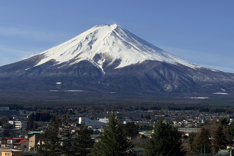 Tokyo: Private Daytrip to Mount Fuji - Fully Customizable Mt Fuji Private Luxury Van Tour (Customizable Experience)
