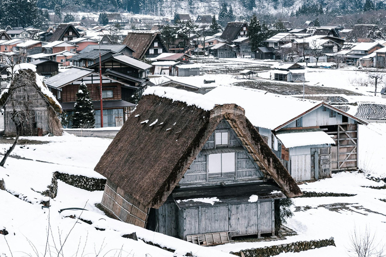 Desde Tokio: excursión de 1 día a Shirakawago y Kanazawa