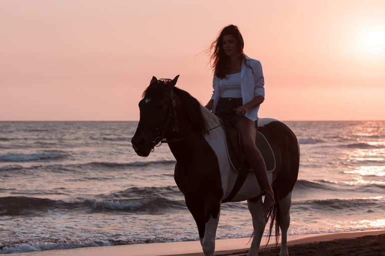 Horse Riding With Optional Sunrise & Red Sea Desert Hurghada {VIP} Horse Riding 4 Hours – With Swim Stop Only