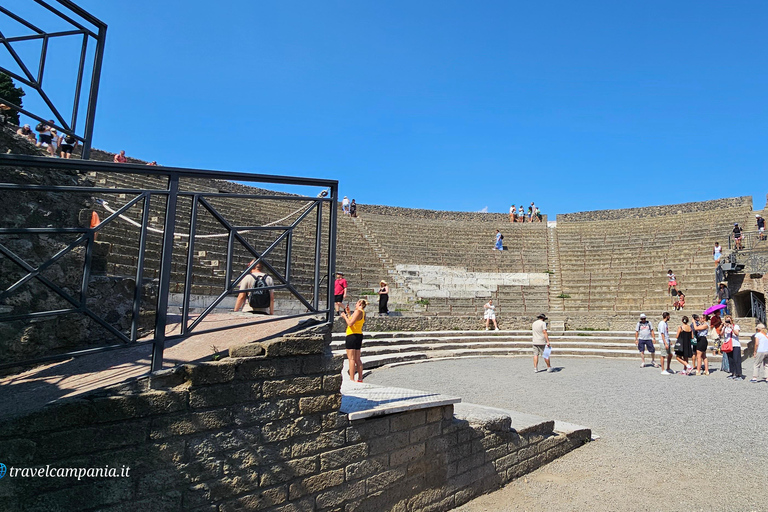 Guided group tour of Pompeii with an expert in archaeology.