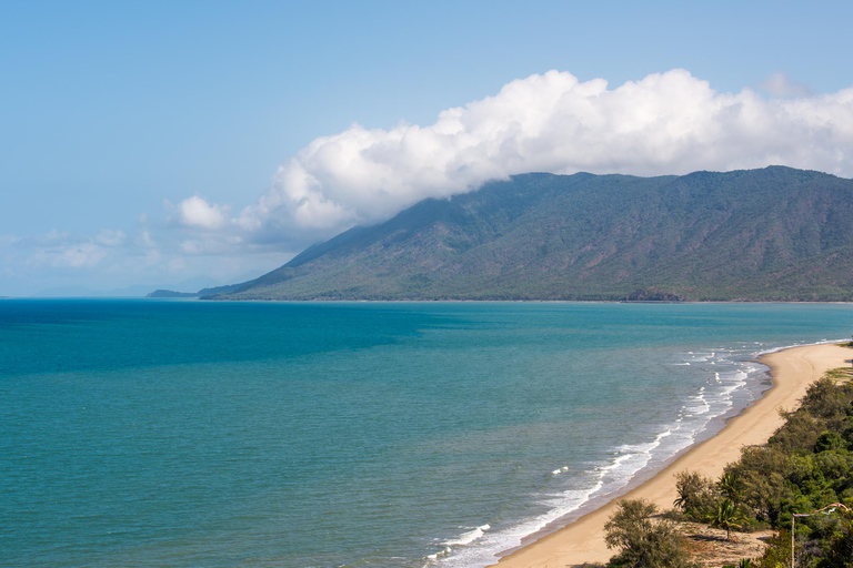 Forêt tropicale de Daintree : Croisière sur la rivière et promenade dans la forêt tropicale