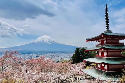 英語ドライバーによる富士山プライベート日帰りツアー