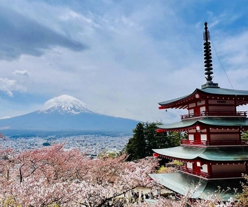Mount Fuji Private One Day Tour With English Speaking Driver