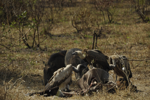 Uganda: 3-Day Lake Mburo National Park Adventure Tour