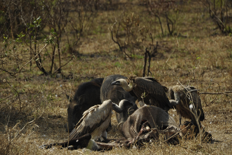 Uganda: 3-Day Lake Mburo National Park Adventure Tour