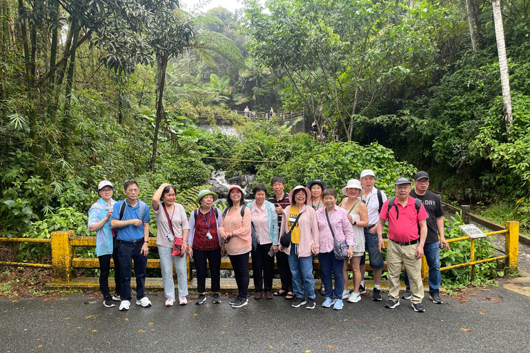 El Yunque Tour Forêt tropicale et toboggan aquatique Puerto Rico